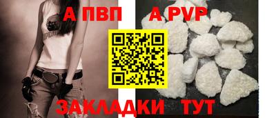 СК Тара