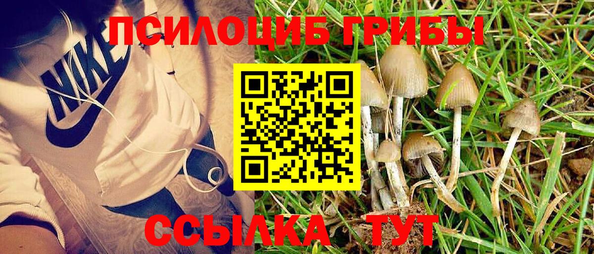 как найти закладки  Вход с VPN  Октябрьский  Галлюциногенные грибы GOLDEN TEACHER  Галлюциногенные грибы Psilocybine cubensis 